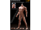 Супер-подвижное бесшовное мужское тело PL2016-M31  1/6 Super flexible Male Seamless Body - PHICEN
