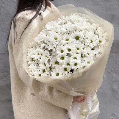 Ромашки для любимых