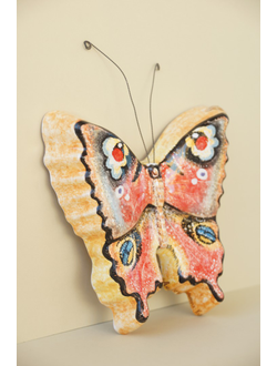 Бабочка большая