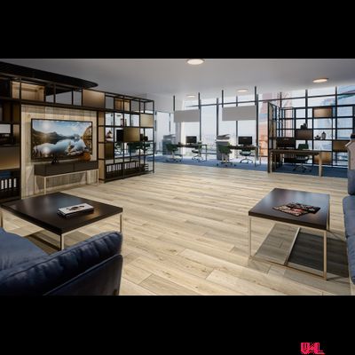 SPC ламинат Damy Floor Family Дуб Кавказский / Caucasian Oak 9531-2A 43 класс толщина 4.0 мм с фаской замковый 2.635 м2