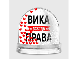 Водяной шар Вика Всегда Права