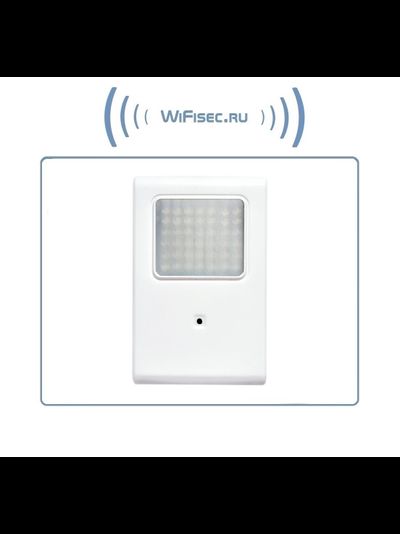 Охранная IP WiFi-LAN видеокамера с ночным видением и аудиоканалом (корпус ИК датчика), встроенный DVR. HD (Pro Ezcam)