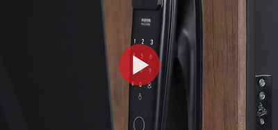 Стальная дверь   Макс 3D (Smart lock DZ 888). Заказная модель.