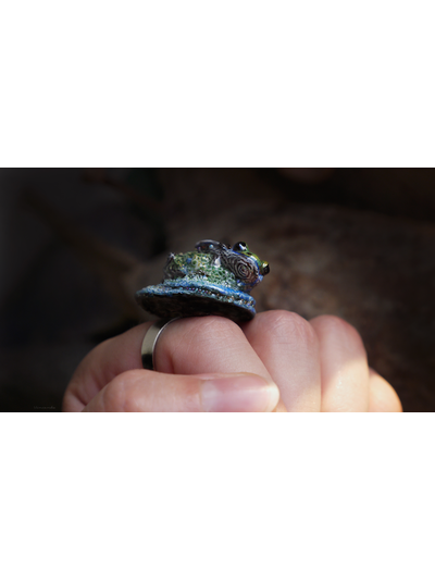 &quot;Водный мир. Пробуждение&quot;, кольцо-миниатюра с волшебным островом и крылатой лягушкой
