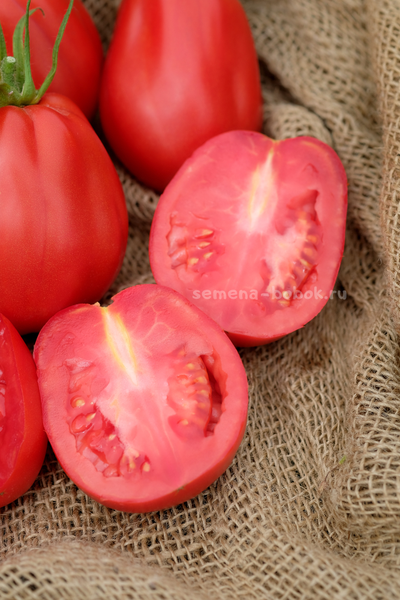 Томат Тюрбан Магриба, 10 шт