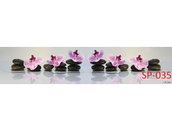 SP-035 ЧЁРНЫЕ КАМНИ И ОРХИДЕИ Глянцевая стеновая панель ALBICO  2800*610*6мм