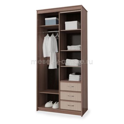 Шкаф-купе Карина 1,0