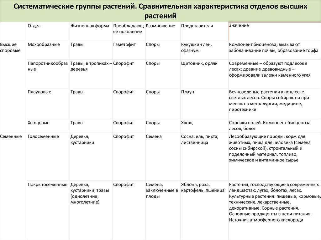 Отделы растений таблица 7 класс Отделы растений и их особенности 75 фото