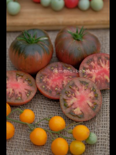 Томат Dwarf Pierce’s Pride (Гном Гордость Пирса), 10 шт