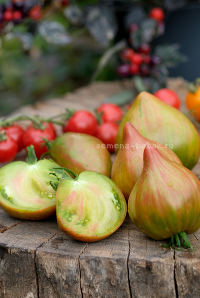 Томат Волшебная Радуга, 10 шт