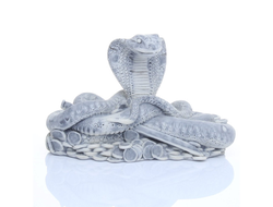 Кобра с сокровищами.ОПТ