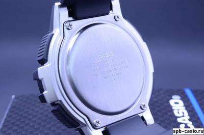 Часы Casio WS-1200H-2AVEF