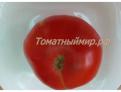 Томат Мегамутт (Megamutt , США)