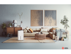 Осушитель воздуха серии PACIFIC Villa RD-PC40-E