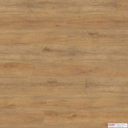 Декор ламината Haro Дуб Венето Натур 540273 фронт