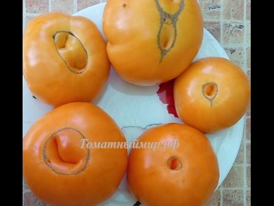 Томат Большой золотой вкусный (Big Golden Delicious)