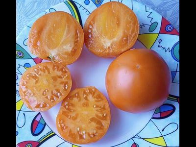 Томат Техас