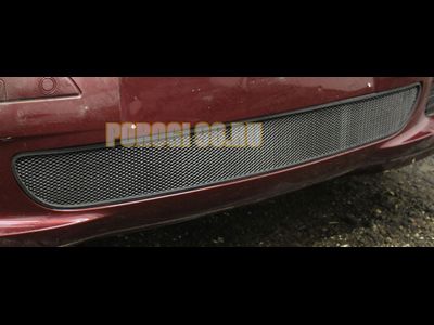 Защита радиатора Mercedec-Benz A-Klass II (W169) 2004-2007 black