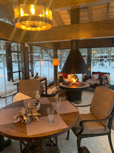 Дровяной камин для дома SEUS