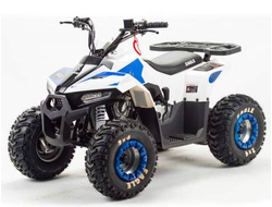 Квадроцикл YACOTA RAPOSA