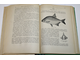 Сабанеев Л.П. Жизнь и ловля пресноводных рыб. Киев: Урожай. 1970г.