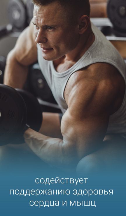 4LifeTransform для мужчин - Поддержка сухой мышечной массы, физической активности, выносливости
