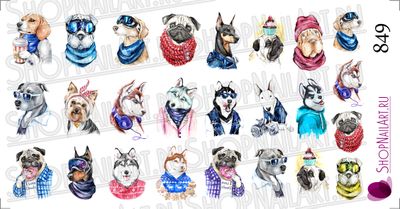 Слайдер дизайн 849 - Собаки