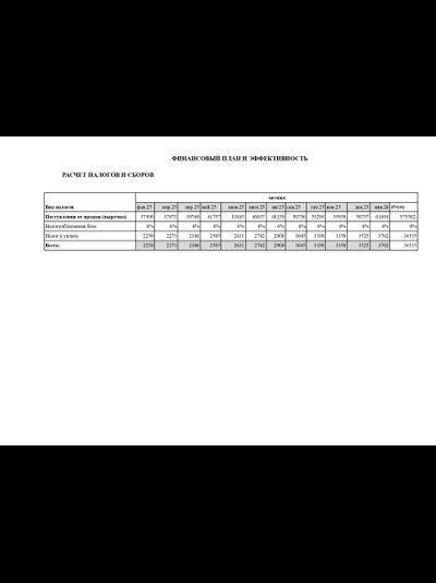 Уникальный расчет финансового план для вашего бизнес-плана под социальный контракт