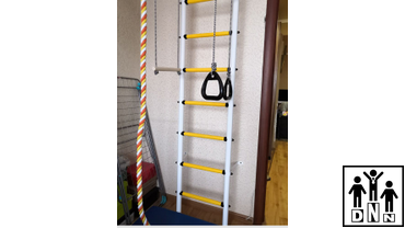 Домашний спортивный комплекс ROMANA пристенный