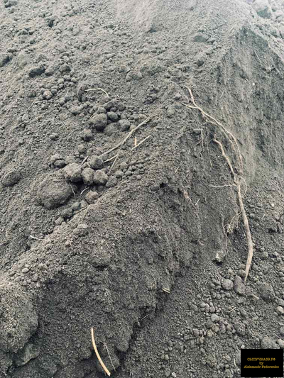 плодородная земля