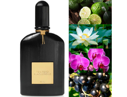 Tom Ford Black Orchid