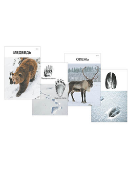 Комплект дидактических карточек "Следы на снегу"