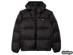 Пуховик Lacoste Outlet Black (S, M, L, XL)