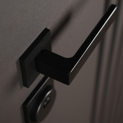 Стальная дверь   Bravo (терморазрыв 3к). Заказная модель.