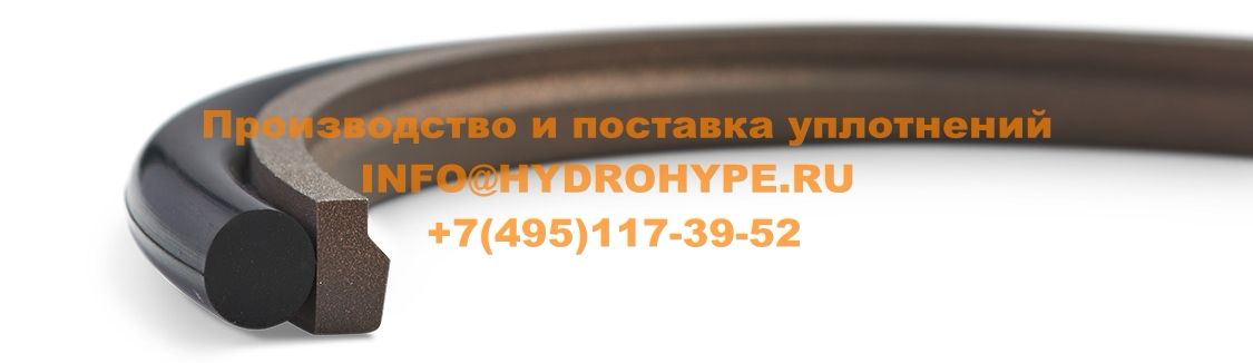 Штоковое уплотнение из фторопласта(PTFE) с кольцом круглого сечения O-Ring