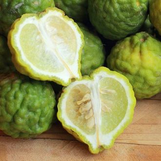 BERGAMOT bergaptene-free ITALY EO (БЕРГАМОТ 100% ЭФИРНОЕ МАСЛО без бергаптена)