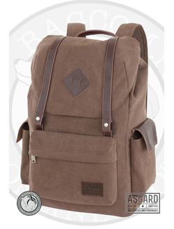 Asgard Р-5555 Коричневый в магазине Bagcom