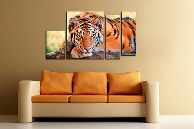 Модульная картина "Отдых тигра"