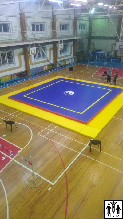 Помост для ушу саньда