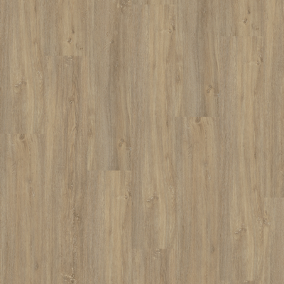 Виниловый пол Wineo 400 Wood Paradise Oak Essential MLD00112 (на HDF-плите)