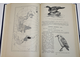 Карташев Н. Систематика птиц. М.: Высшая школа. 1974г.