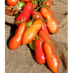 Томат Стрелка, 10 шт