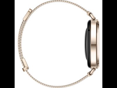 Huawei Watch GT 6 41mm (55020FVW) Золотой