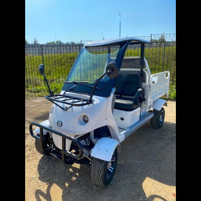 Гольфкар GreenCamel A2C 52Ah (2+Cargo 2500W 225/40-10' литые)
