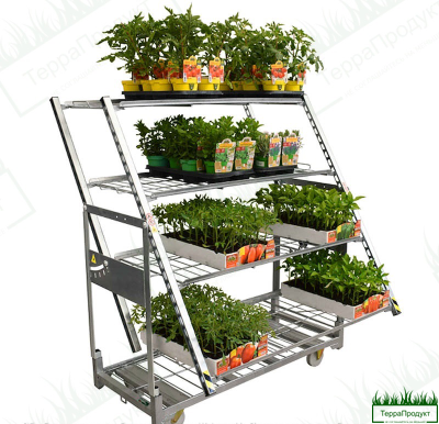 Кабриолет наклонное устройство к тележке евро тролль 1350x560x1800 ,с направляющими