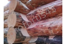 Канадская рубка