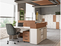 Шкафы-локеры Lemo