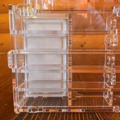 Формикарий 4ants Crystal XL pro + колония Messor Structor