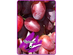 Журавчик вишневый (укоренённый черенок)