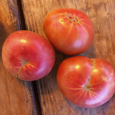 Томат Гном Мгла Винса (Dwarf Vince’s Haze)